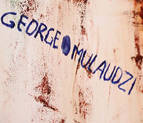 George Mulaudzi Signature